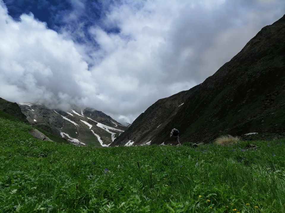 Photo of Great Himalayan National Park by Panki Sood