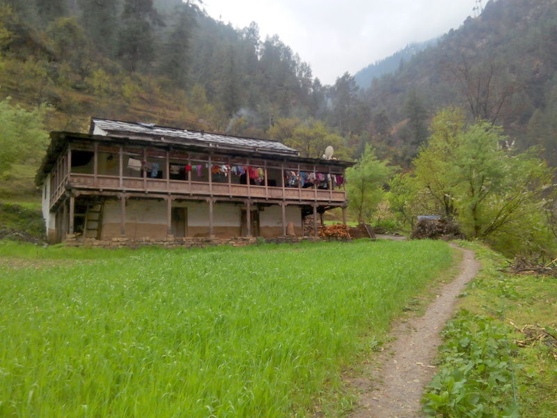 Photo of Top 5 Things to Do in Tirthan Valley by Panki Sood