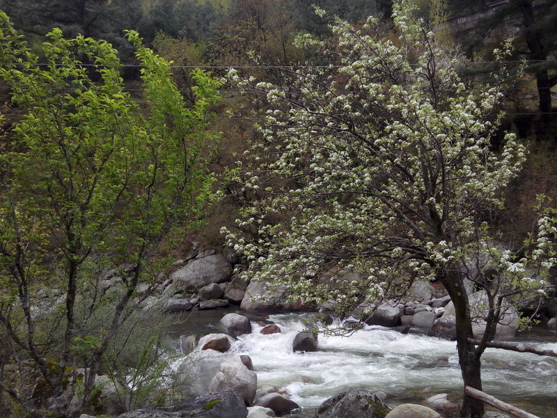 Photo of Top 5 Things to Do in Tirthan Valley by Panki Sood