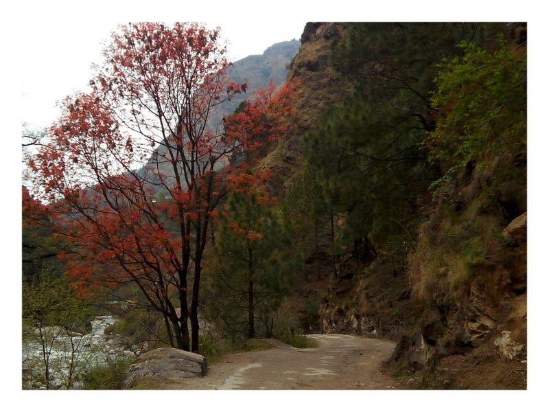 Photo of Top 5 Things to Do in Tirthan Valley by Panki Sood