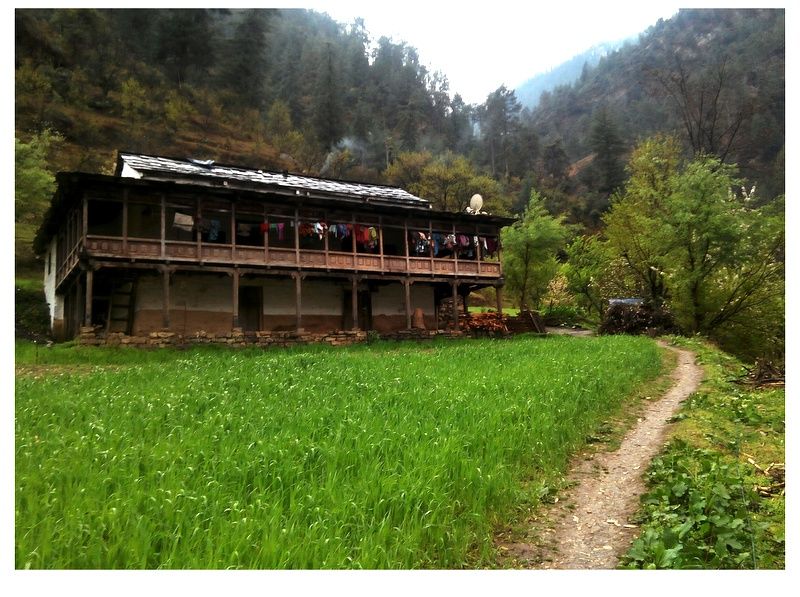 Photo of Top 5 Things to Do in Tirthan Valley by Panki Sood
