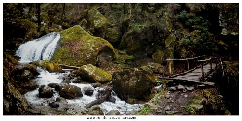 Photo of Top 5 Things to Do in Tirthan Valley by Panki Sood