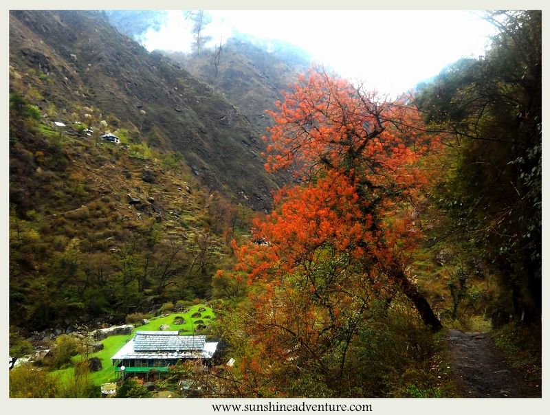 Photo of Top 5 Things to Do in Tirthan Valley by Panki Sood