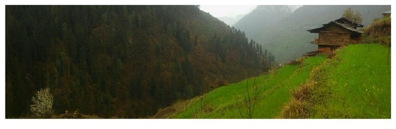 Photo of Top 5 Things to Do in Tirthan Valley by Panki Sood