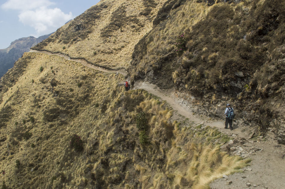 Photo of Pangarchulla: an unplanned trek by Debojyoti Nag