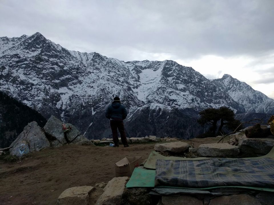 Photo of The Himalayan Medicine 1/1 by netrashelar