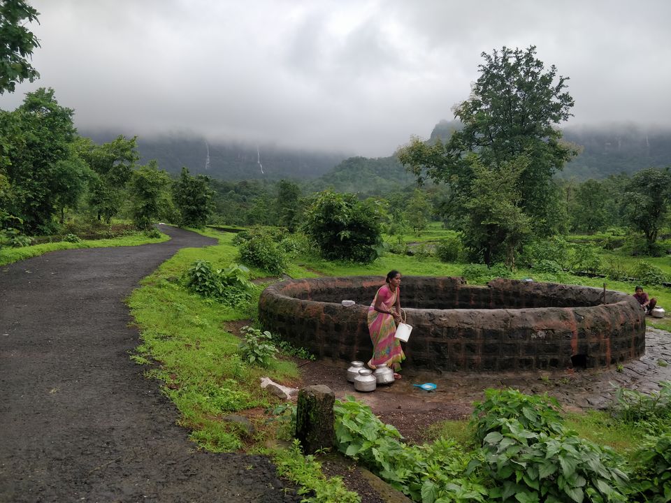 Photo of BHIMASHANKAR TREK 1/1 by অম্লান ঘোষ