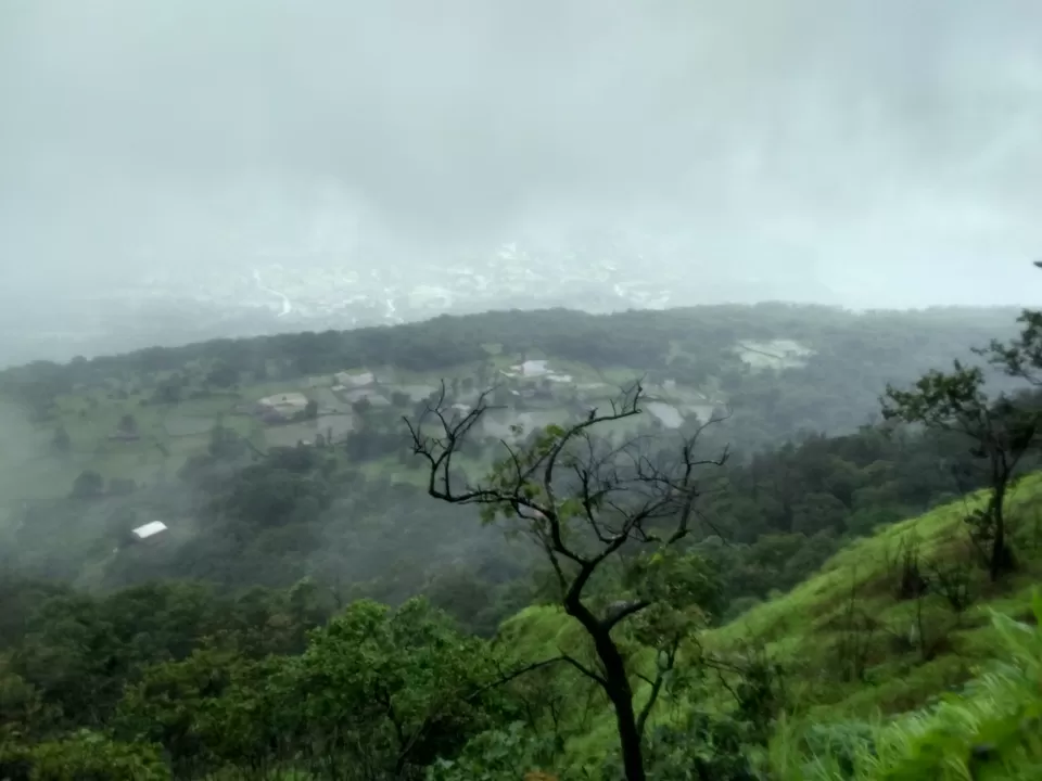 Photo of Khandas, Maharashtra, India by অম্লান ঘোষ