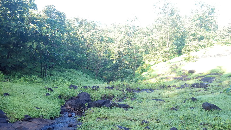 Photo of Naneghat, Ghatghar, Maharashtra by Amlan Ghosh