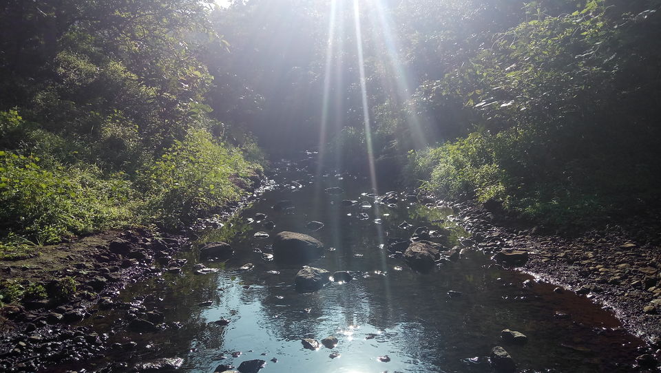 Photo of Naneghat, Ghatghar, Maharashtra by Amlan Ghosh