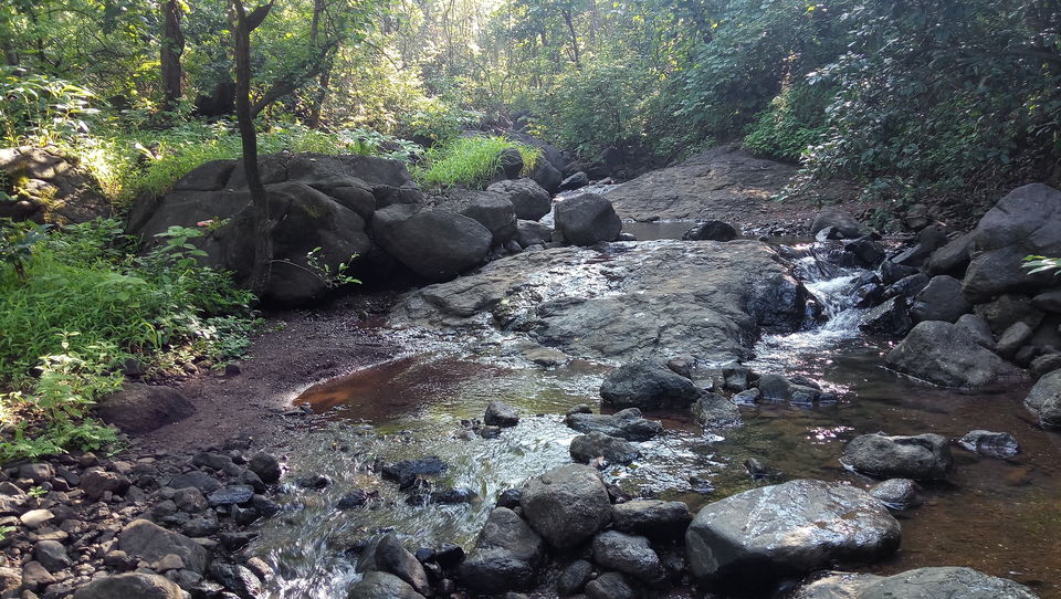 Photo of Naneghat, Ghatghar, Maharashtra by Amlan Ghosh