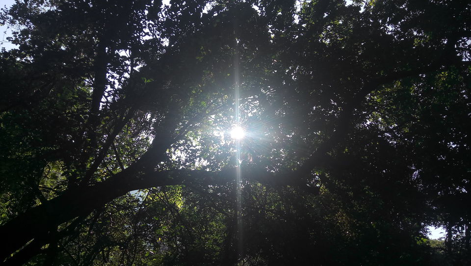 Photo of Naneghat by Amlan Ghosh