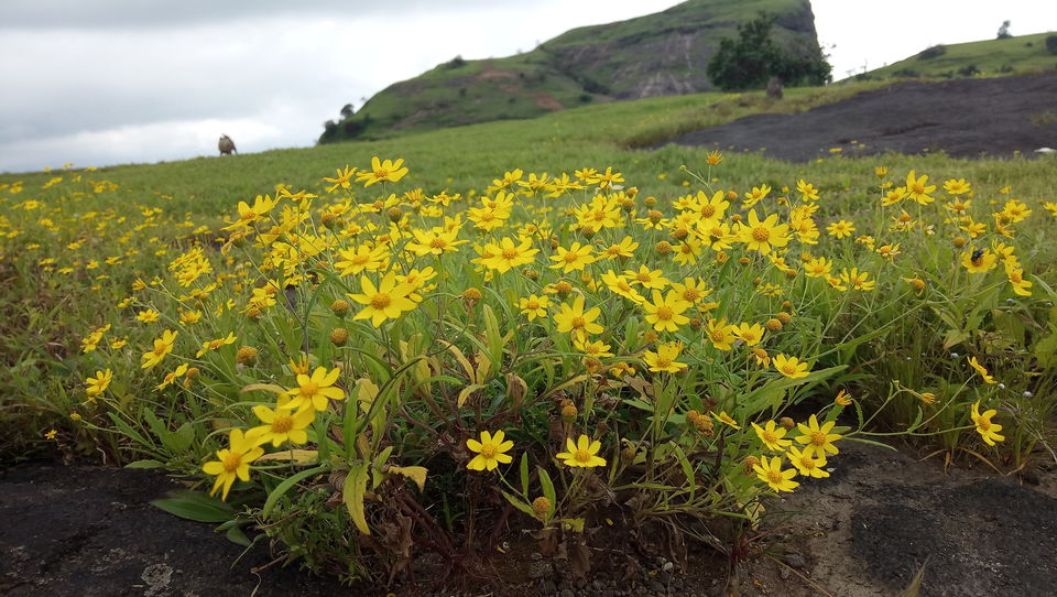 Photo of Naneghat by অম্লান ঘোষ