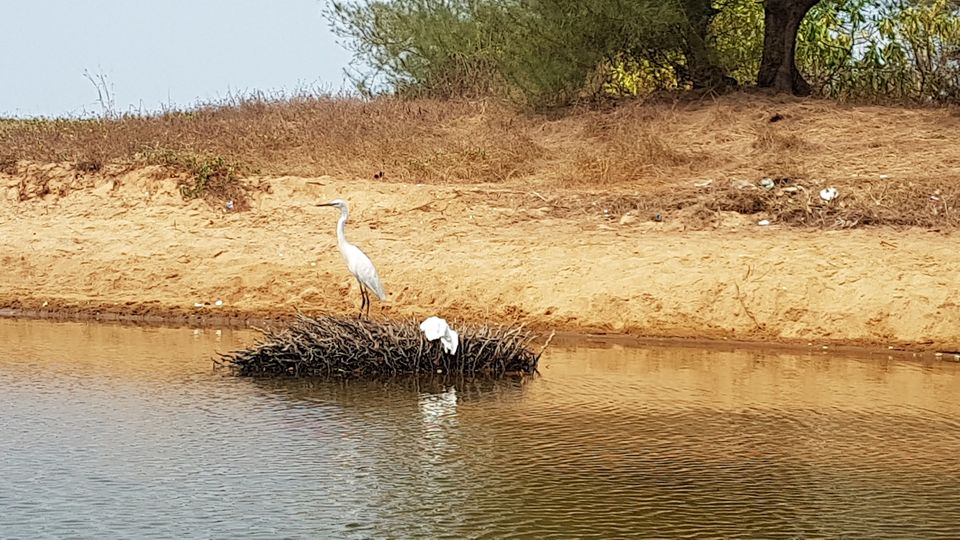 Photo of Bekal - The Taj Experience by Makarand Bidikar