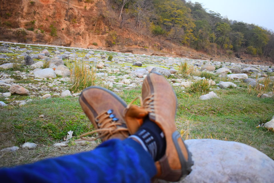 Photo of #BestOfTravel #OffTheGrid #JimCorbett #AdventureIsMe #TheGatewayResort by Kapil Kumar