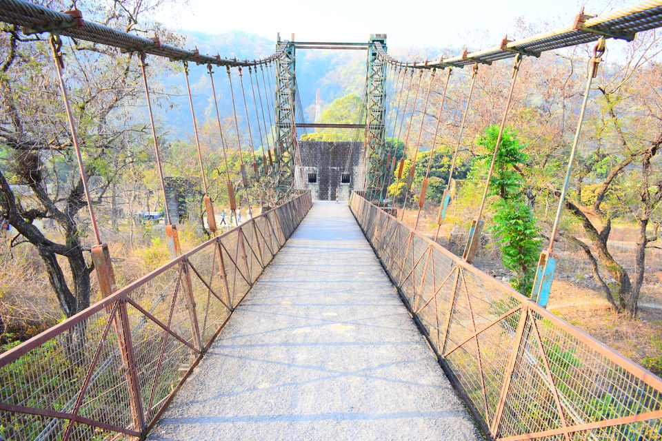 Photo of #BestOfTravel #OffTheGrid #JimCorbett #AdventureIsMe #TheGatewayResort by Kapil Kumar