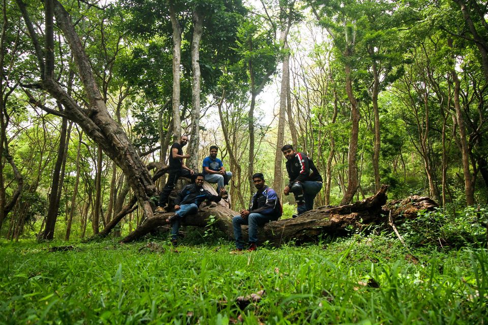 Photo of Benellians marked their territory at the BR Hills  4/8 by Kapil Kumar