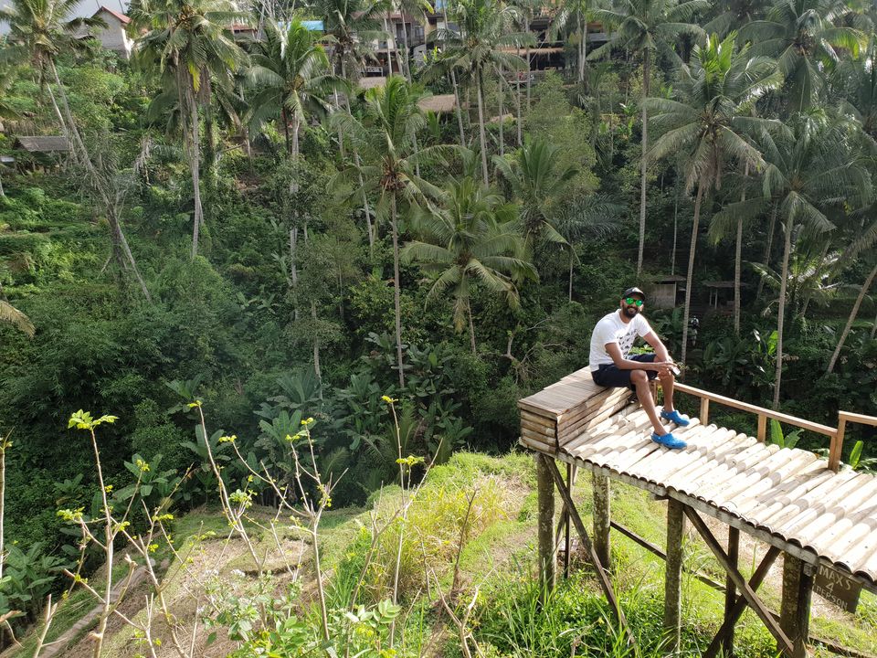 Photo of Exploring Bali on Scooter | Part 3 | Tegalalang Rice Terrace (Ubud) 4/5 by Kapil Kumar