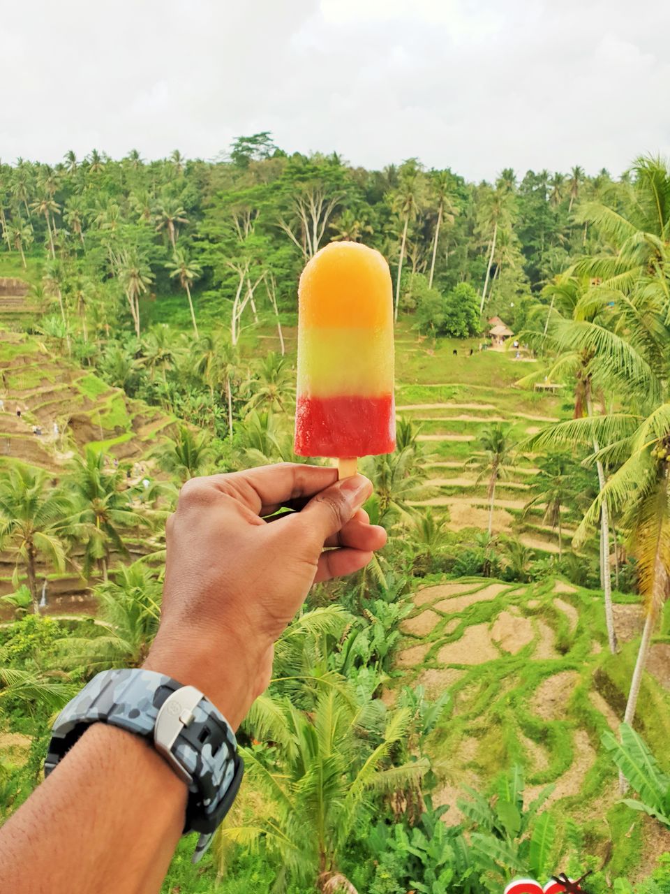 Photo of Exploring Bali on Scooter | Part 3 | Tegalalang Rice Terrace (Ubud) 5/5 by Kapil Kumar