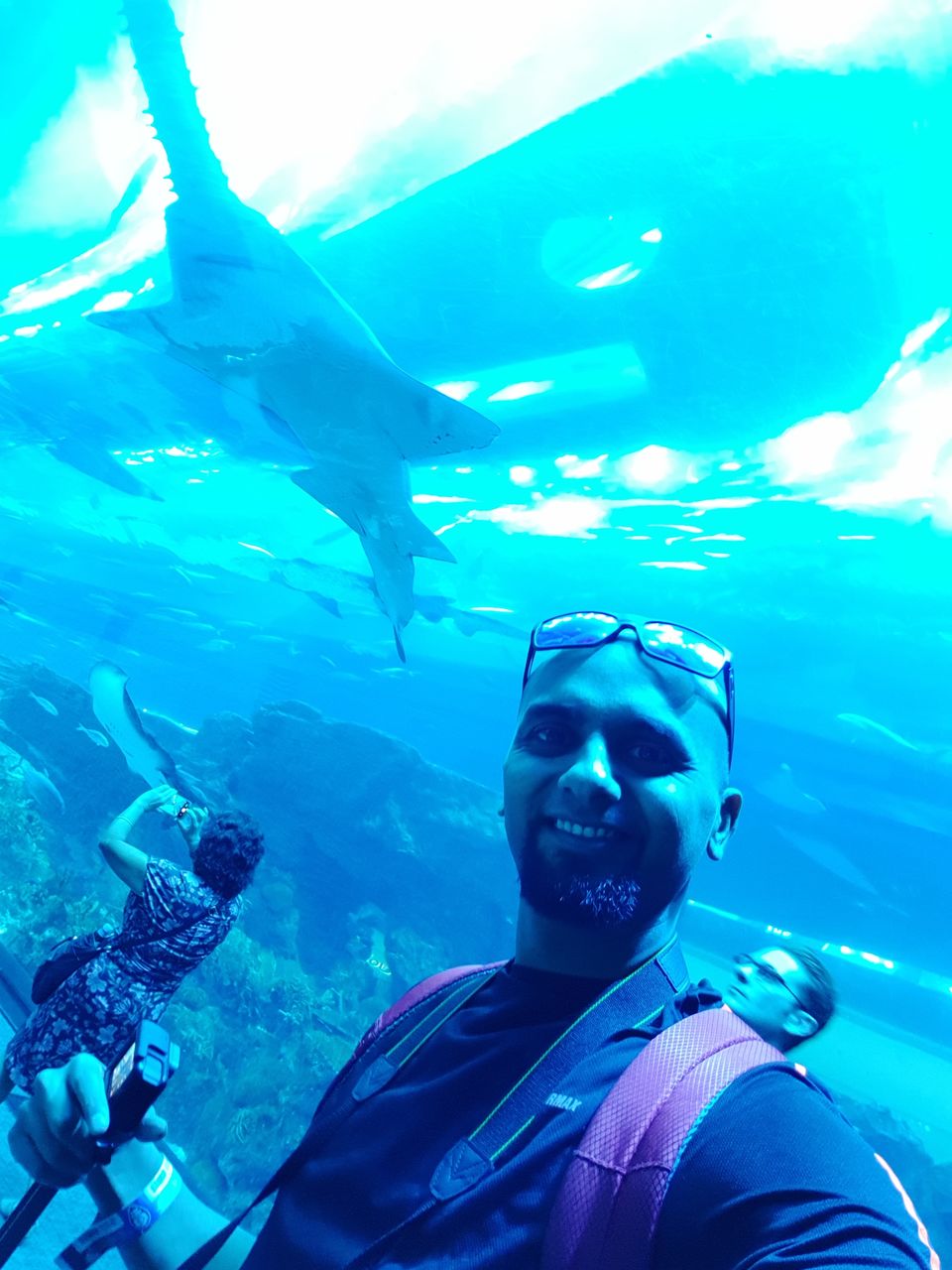 Photo of Dubai Aquarium Explorer Package / Dubai Mall / Dubai Pass by Kapil Kumar