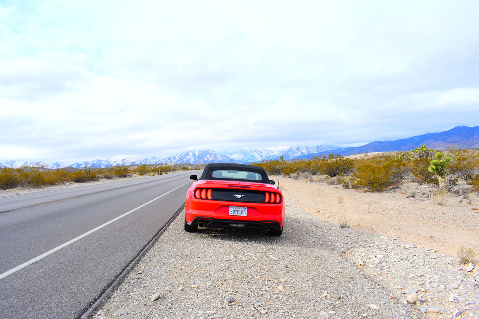 Photo of Las Vegas to Mount Charleston & Lee Canyon / Best Places to Stop / 1 Day road trip / Snow fall 4/11 by Kapil Kumar