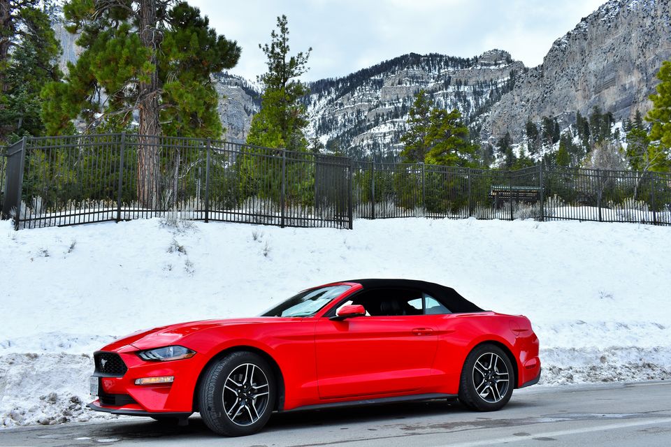 Photo of Las Vegas to Mount Charleston & Lee Canyon / Best Places to Stop / 1 Day road trip / Snow fall 6/11 by Kapil Kumar