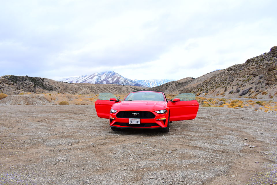 Photo of Las Vegas to Mount Charleston & Lee Canyon / Best Places to Stop / 1 Day road trip / Snow fall 11/11 by Kapil Kumar