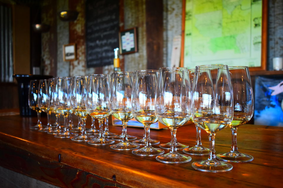 Photo of Australia's White Gold Mine - Yarra Valley Wine tour (Melbourne) by Kapil Kumar