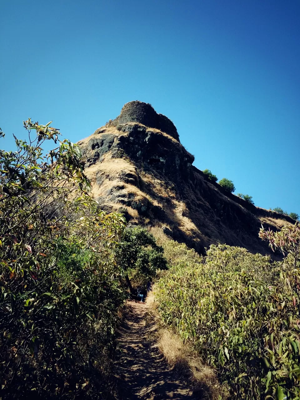 Photo of Rajgad, Pune, Maharashtra, India by Harish Jagtap