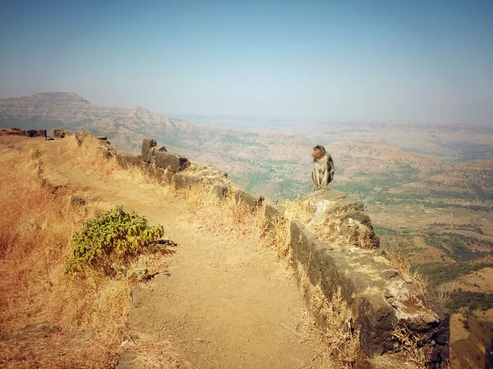 Photo of Rajgad, Pune, Maharashtra, India by Harish Jagtap