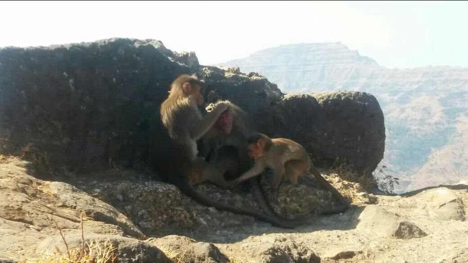Photo of Rajgad, Pune, Maharashtra, India by Harish Jagtap