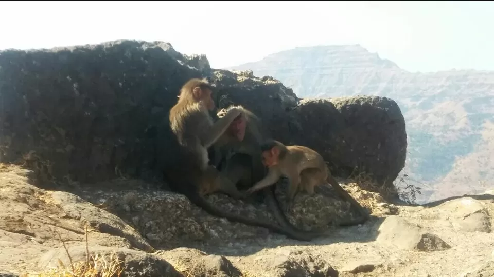 Photo of Rajgad, Pune, Maharashtra, India by Harish Jagtap