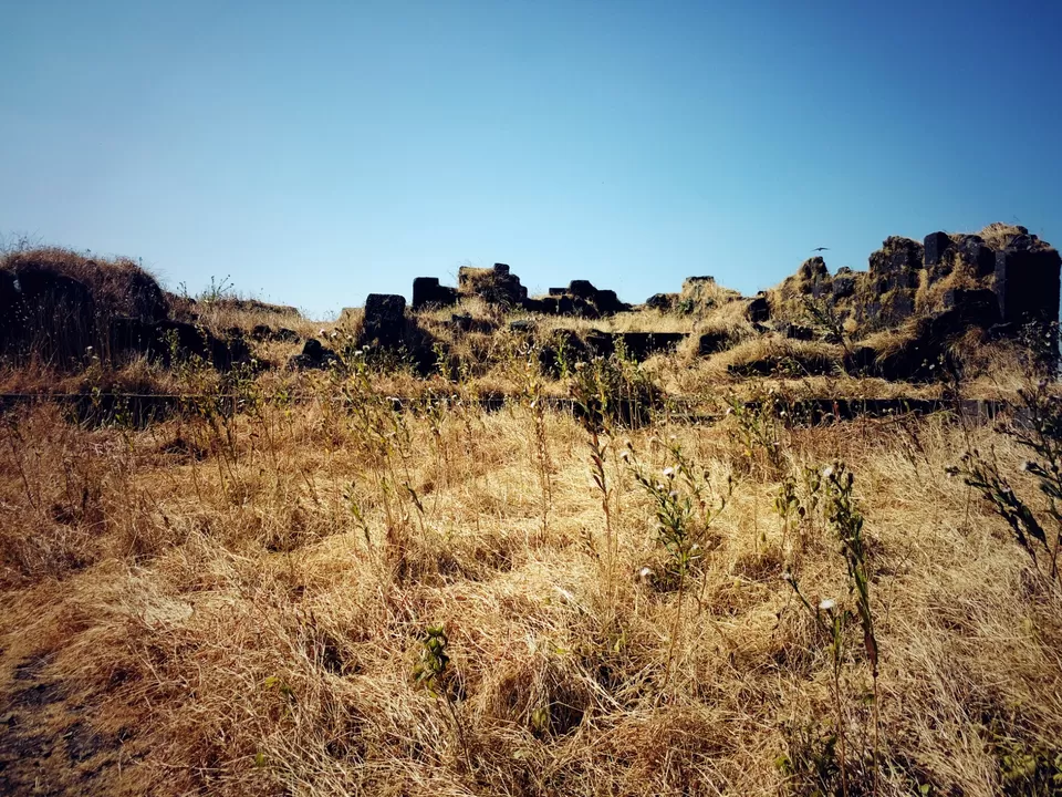 Photo of Rajgad, Pune, Maharashtra, India by Harish Jagtap