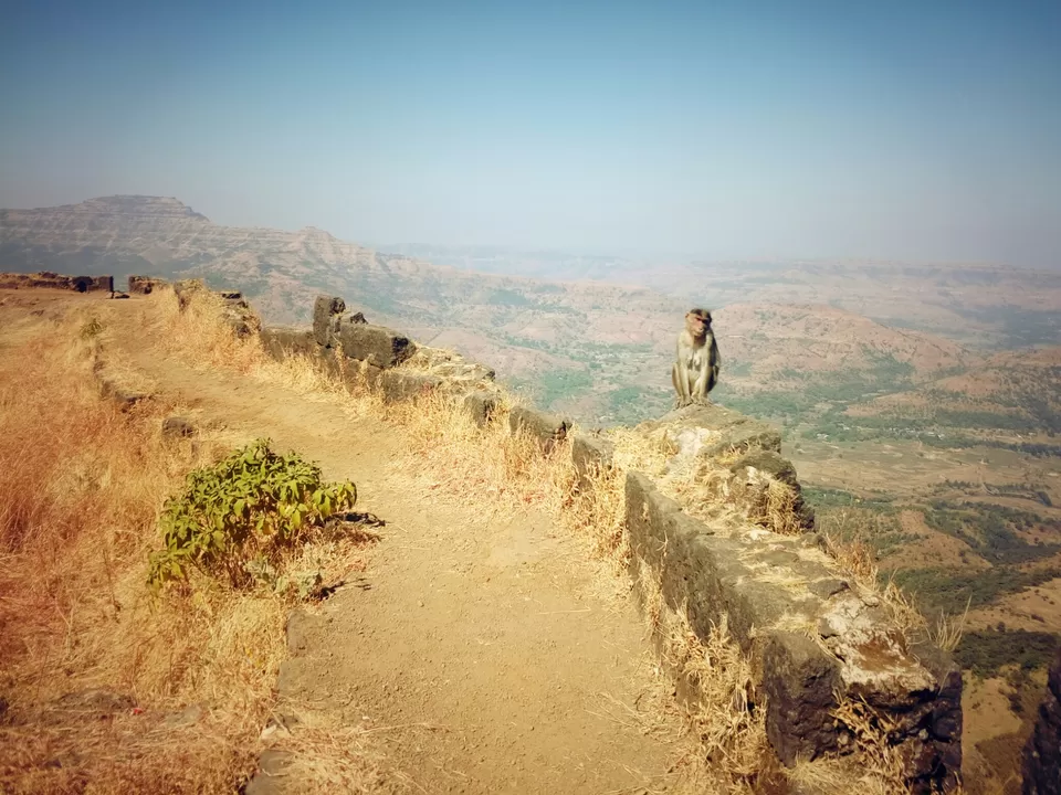 Photo of Rajgad, Pune, Maharashtra, India by Harish Jagtap