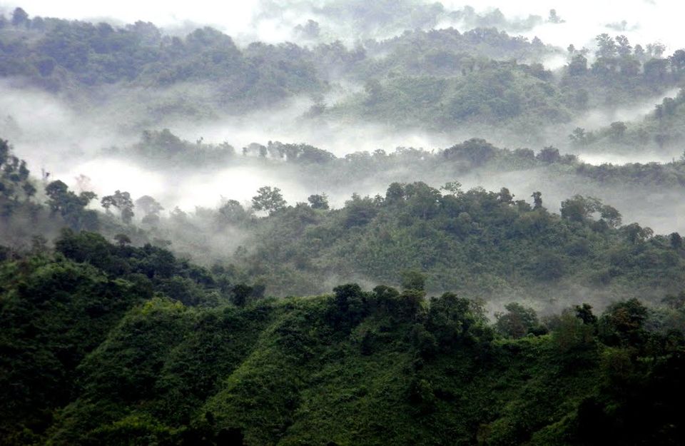 Photo of Visiting Nature’s Paradise Tripura? 8 Fascinating Things You Can To Do And See 6/7 by Trisha Krishnan