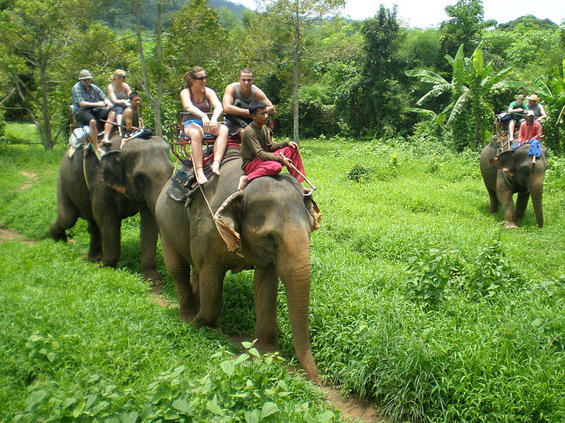 Photo of Explore These 6 Wonderful Tourist Spots in Thailand 6/6 by Trisha Krishnan