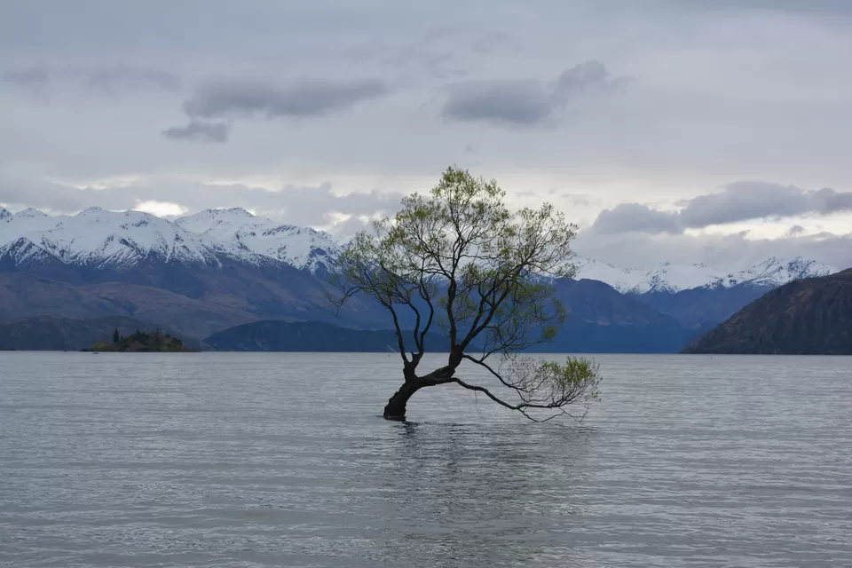 Photo of Wanaka, Otago, New Zealand by Mridula Malav