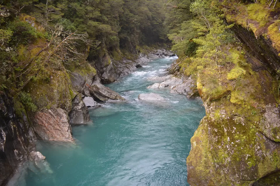 Photo of Haast Pass-Makarora Road, Haast, New Zealand by Mridula Malav
