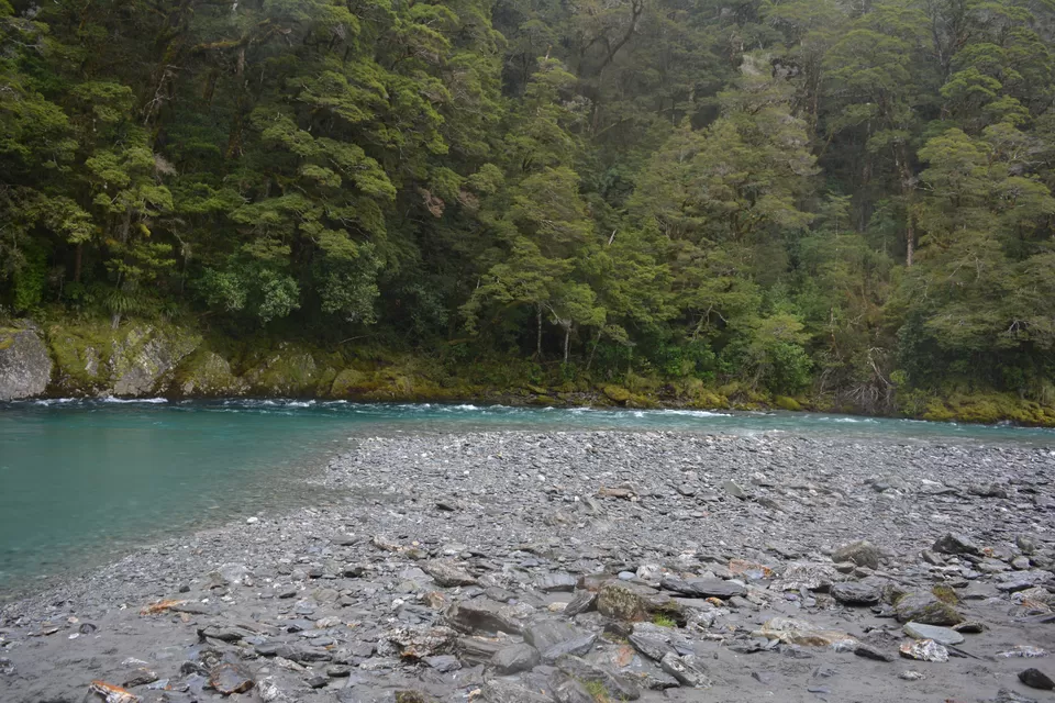 Photo of Haast Pass-Makarora Road, Haast, New Zealand by Mridula Malav