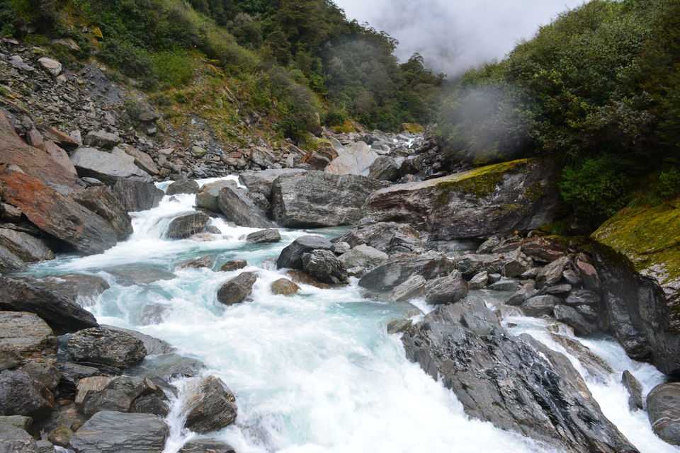 Photo of West Coast, New Zealand by Mridula Malav