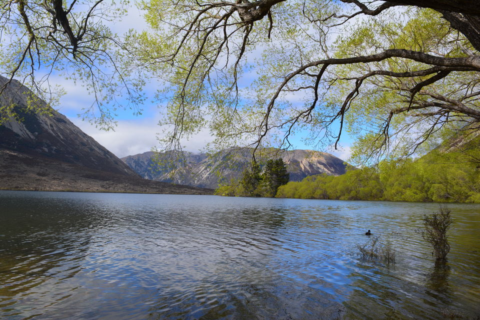 Photo of West Coast Roadtrip NZ by Mridula Malav