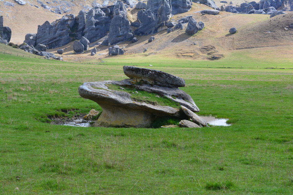 Photo of West Coast Roadtrip NZ by Mridula Malav