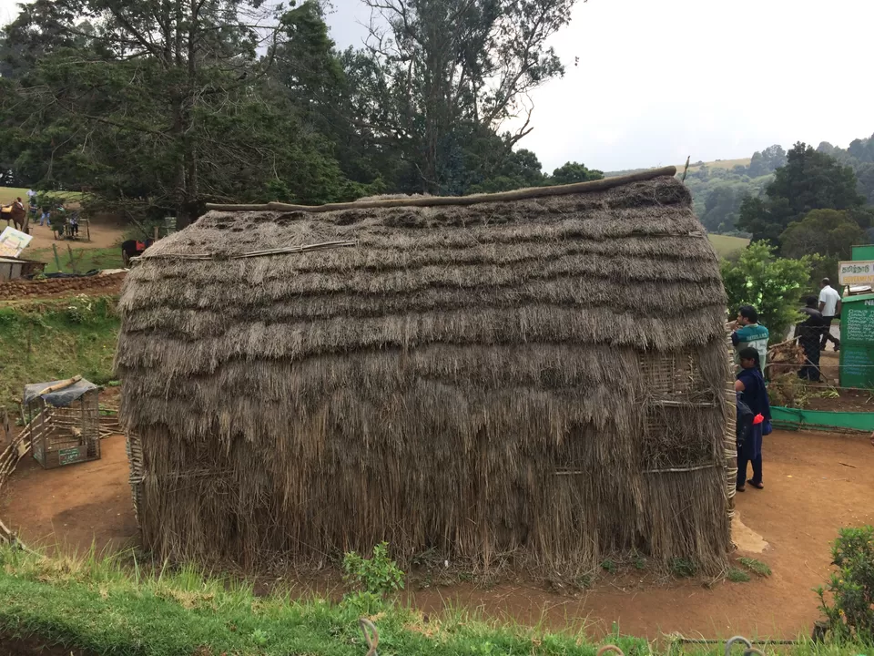 Photo of Ooty, Tamil Nadu, India by Raji Mohan