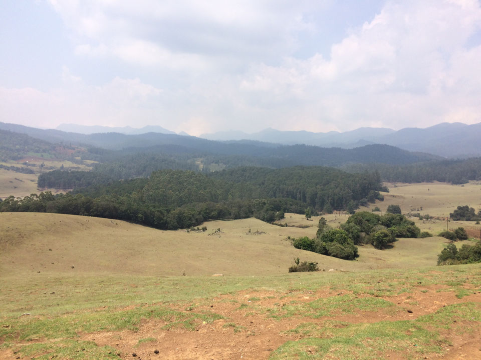 Photo of Ooty, Tamil Nadu, India by Raji Mohan
