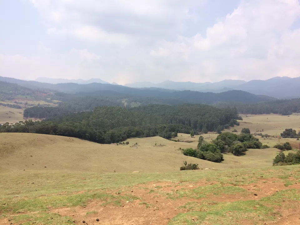 Photo of Ooty, Tamil Nadu, India by Raji Mohan