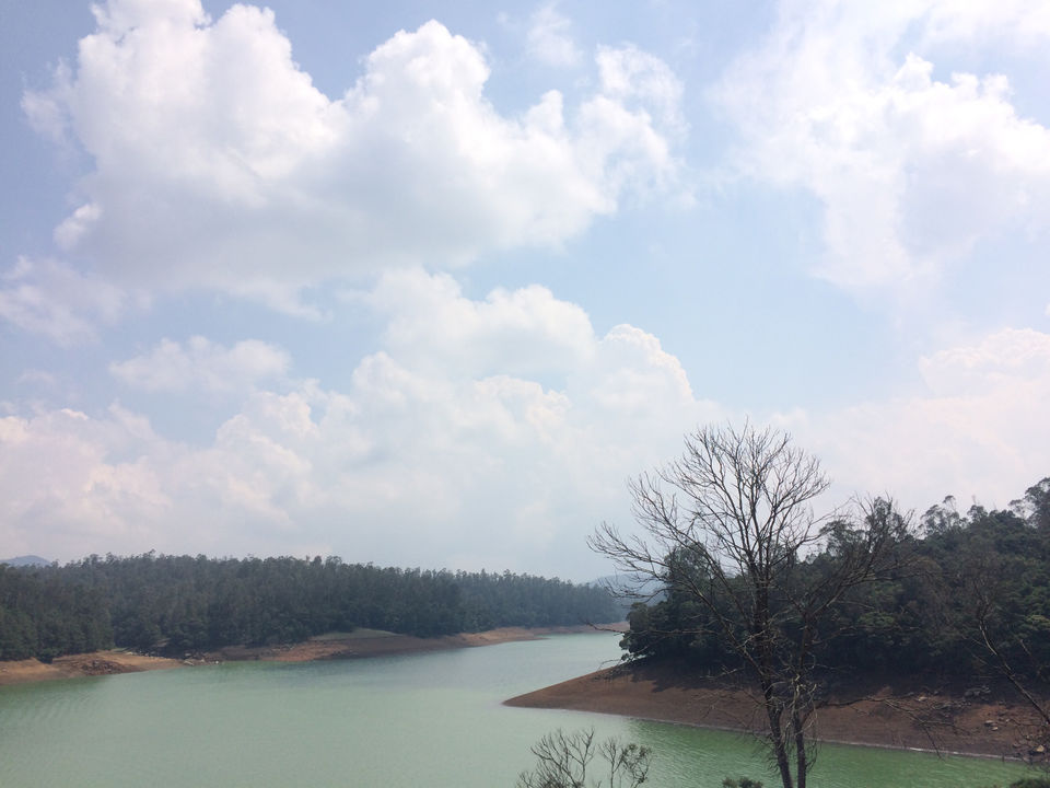 Photo of Ooty, Tamil Nadu, India by Raji Mohan