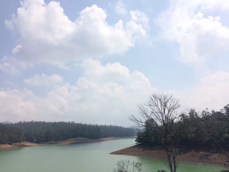 Photo of Ooty, Tamil Nadu, India by Raji Mohan