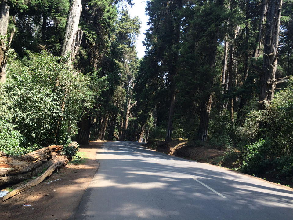 Photo of Ooty, Tamil Nadu, India by Raji Mohan