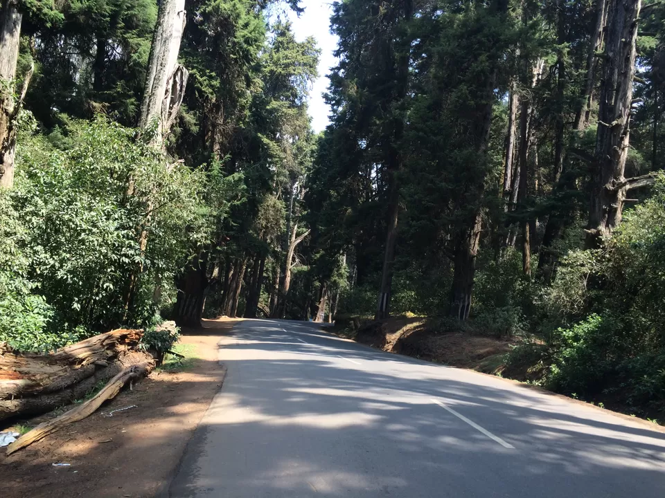 Photo of Ooty, Tamil Nadu, India by Raji Mohan