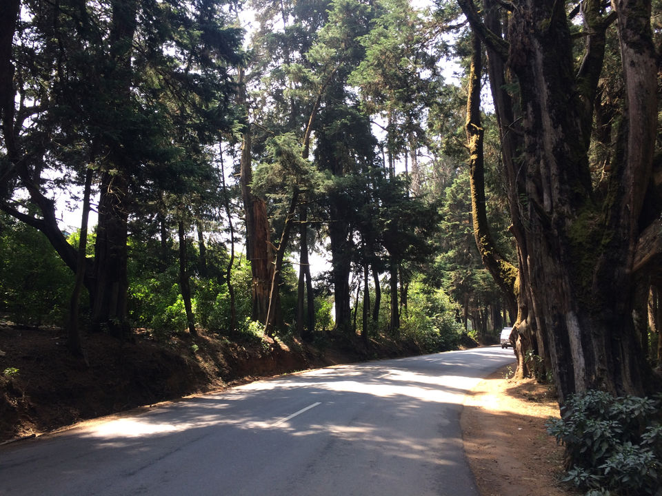 Photo of Ooty, Tamil Nadu, India by Raji Mohan